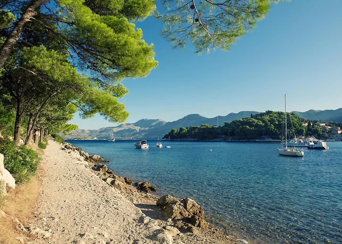 With Pool In - Dubrovnik 54496 ザトン